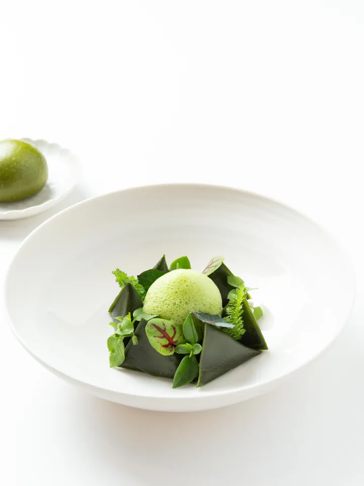 Gourmet dish with green moss in the center, surrounded by green leaves and pieces of green vegetable, presented on a white plate.