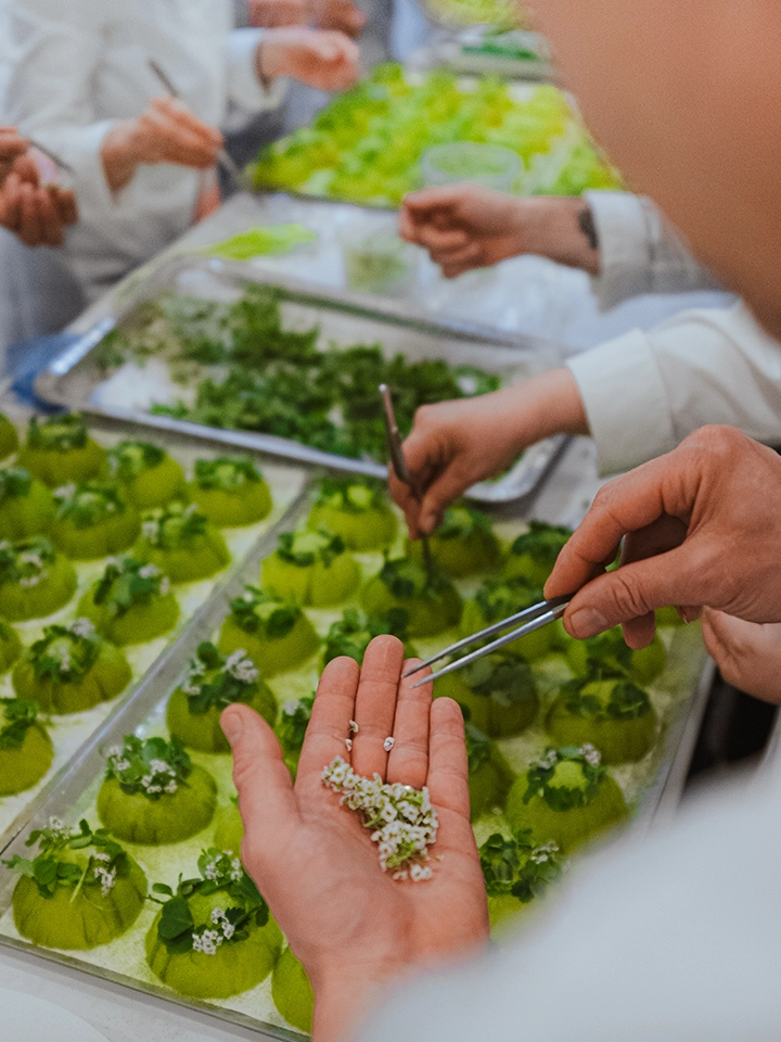 Des chefs préparent minutieusement des desserts verts décorés de petites fleurs comestibles à l'aide de pinces dans une cuisine professionnelle.