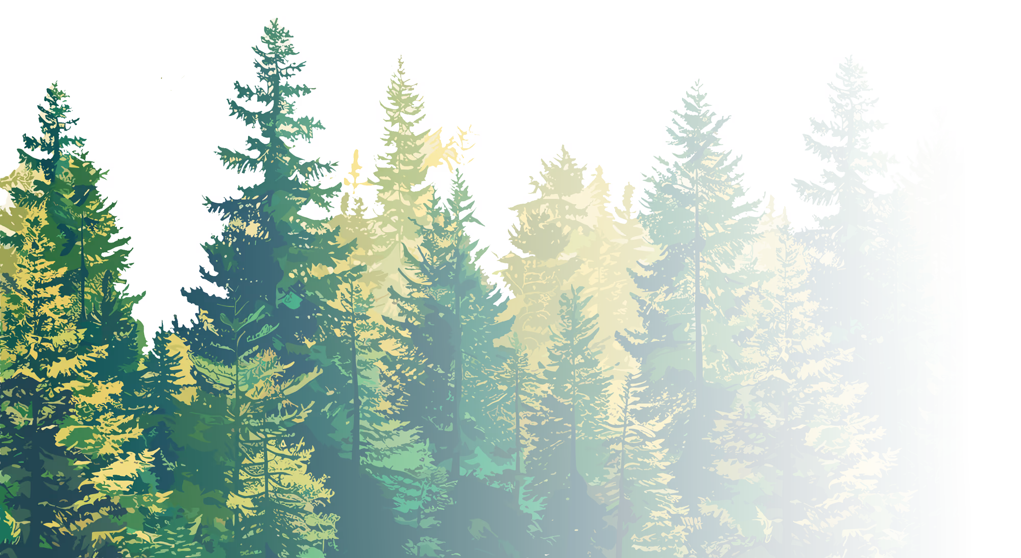 Illustration of a dense forest with tall green and yellow trees.