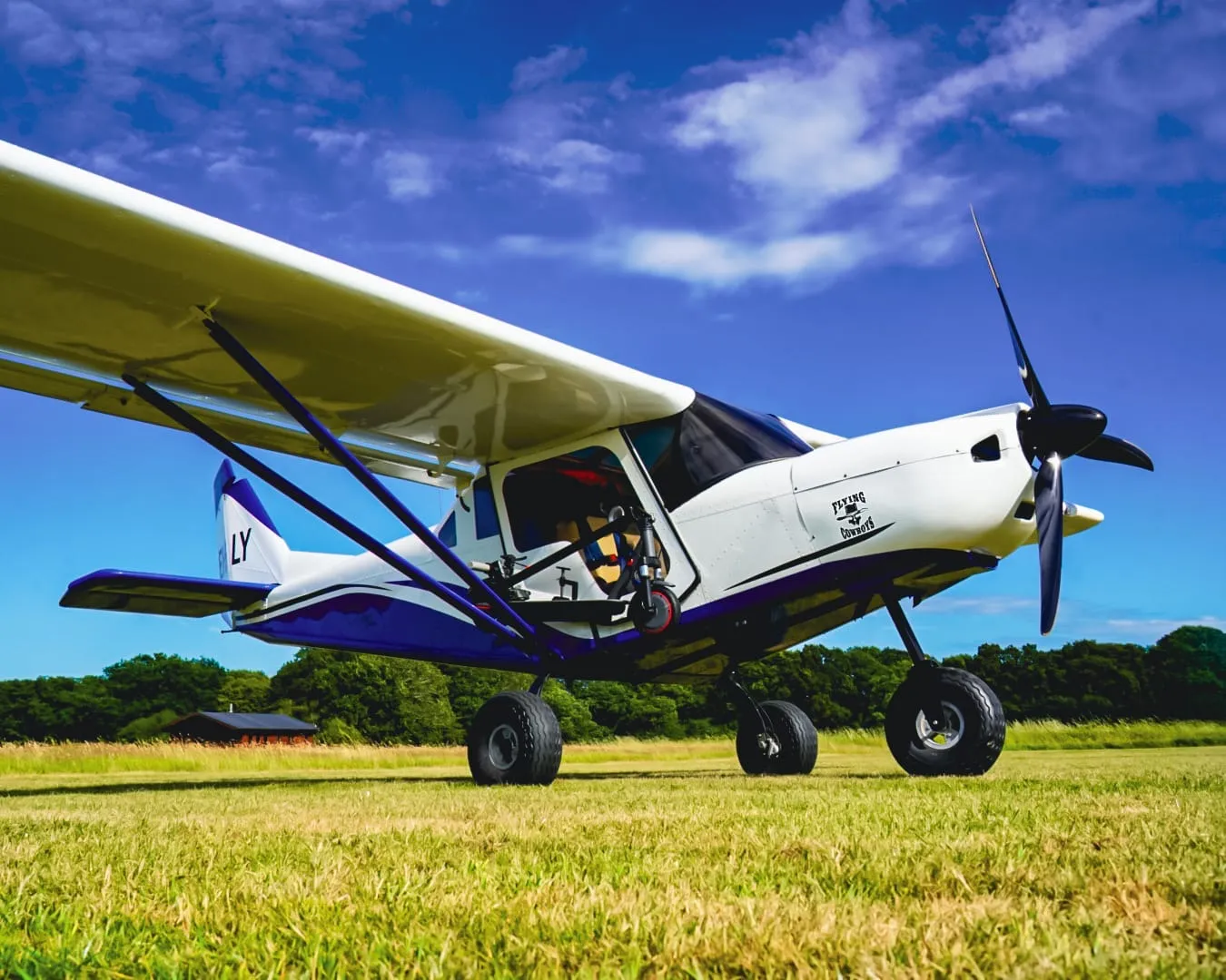 A small airplane is parked on grassy ground under a clear blue sky.