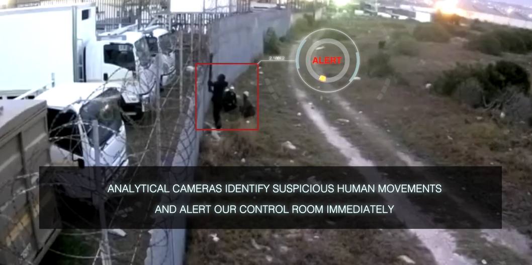 Analytical cameras identifying movement