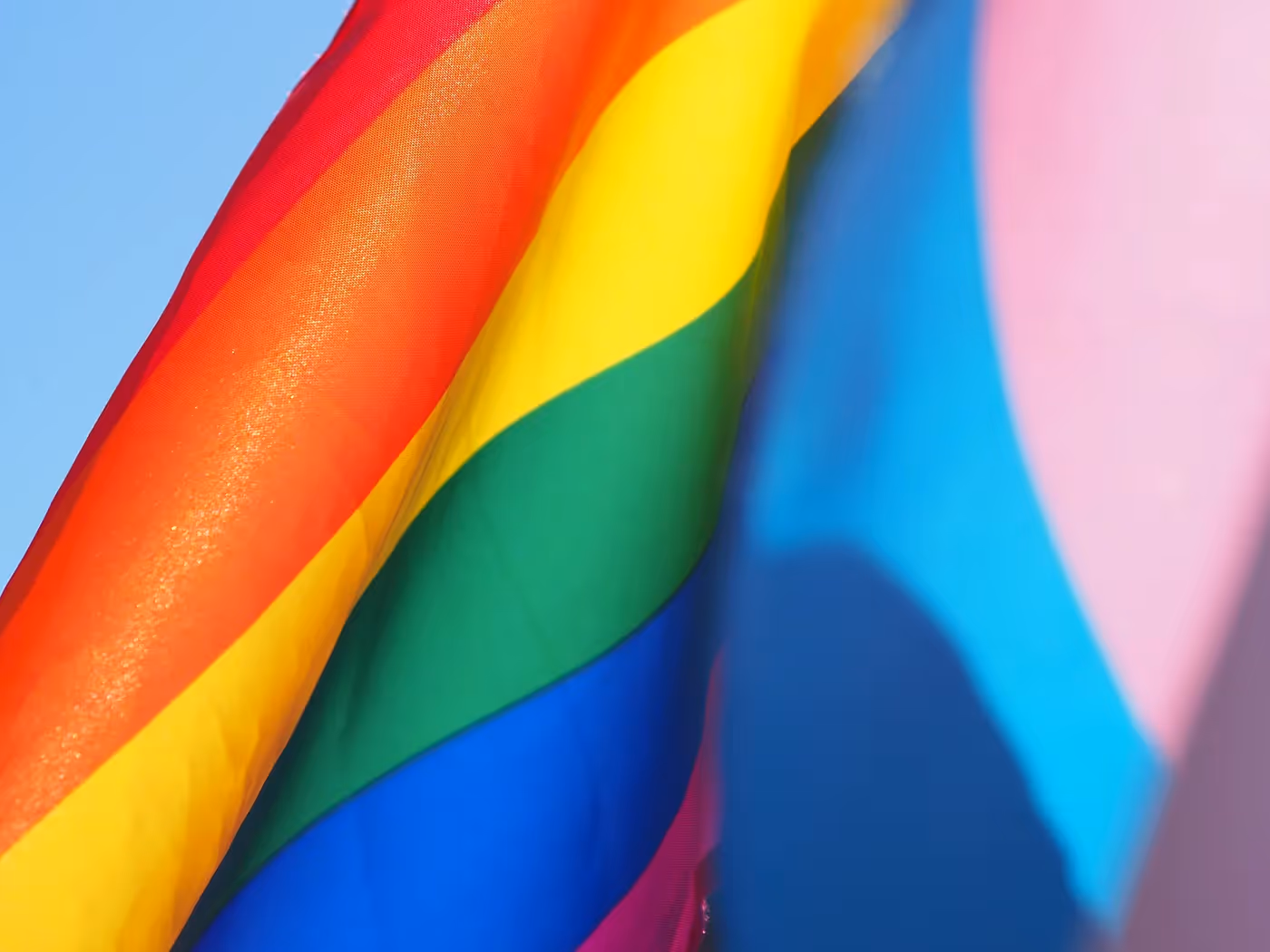Report banner image