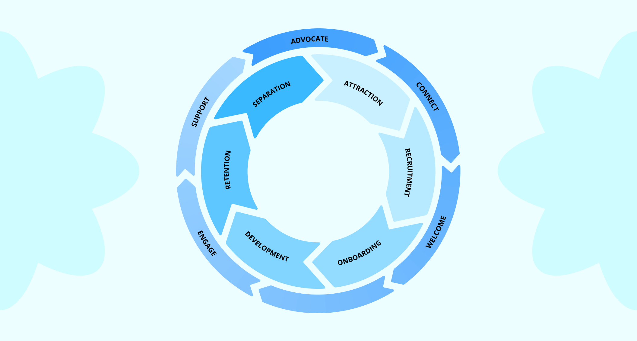 lifecycle diagram with info.