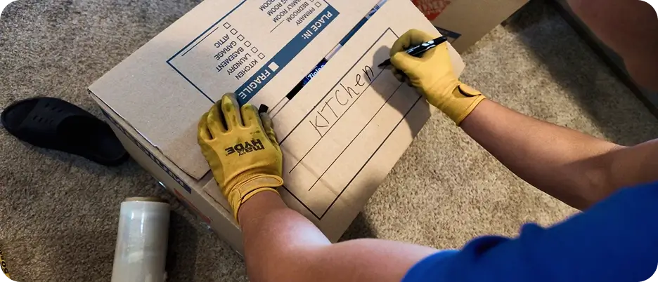 Packing, Storage & Delivery Coordination