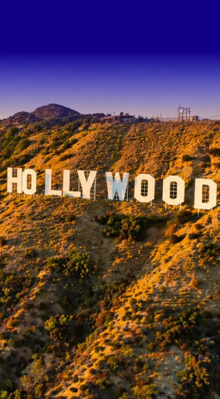 Los Angeles Movers