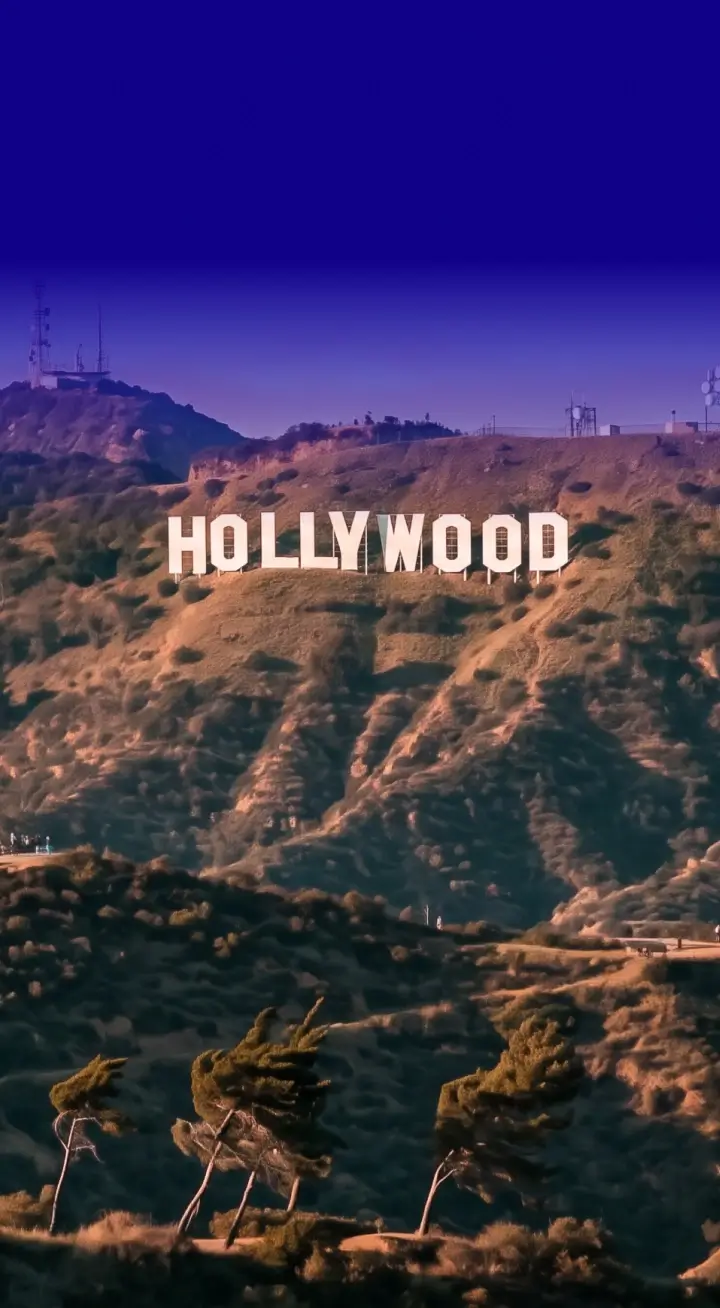 Hollywood Movers