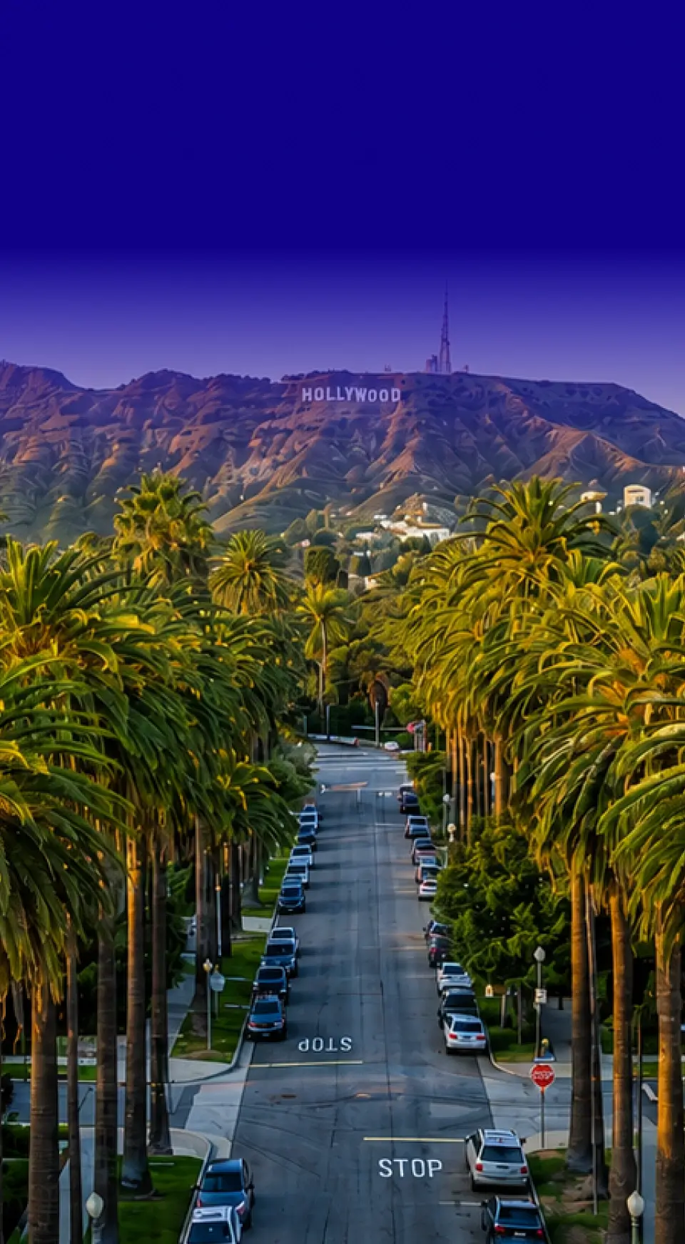 Hollywood Commercial Movers