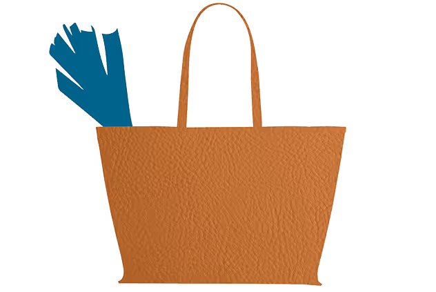Illustration mit Ledertasche und Lauch