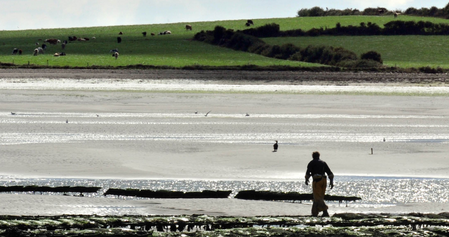 Man walking on the shore with hills in the background
