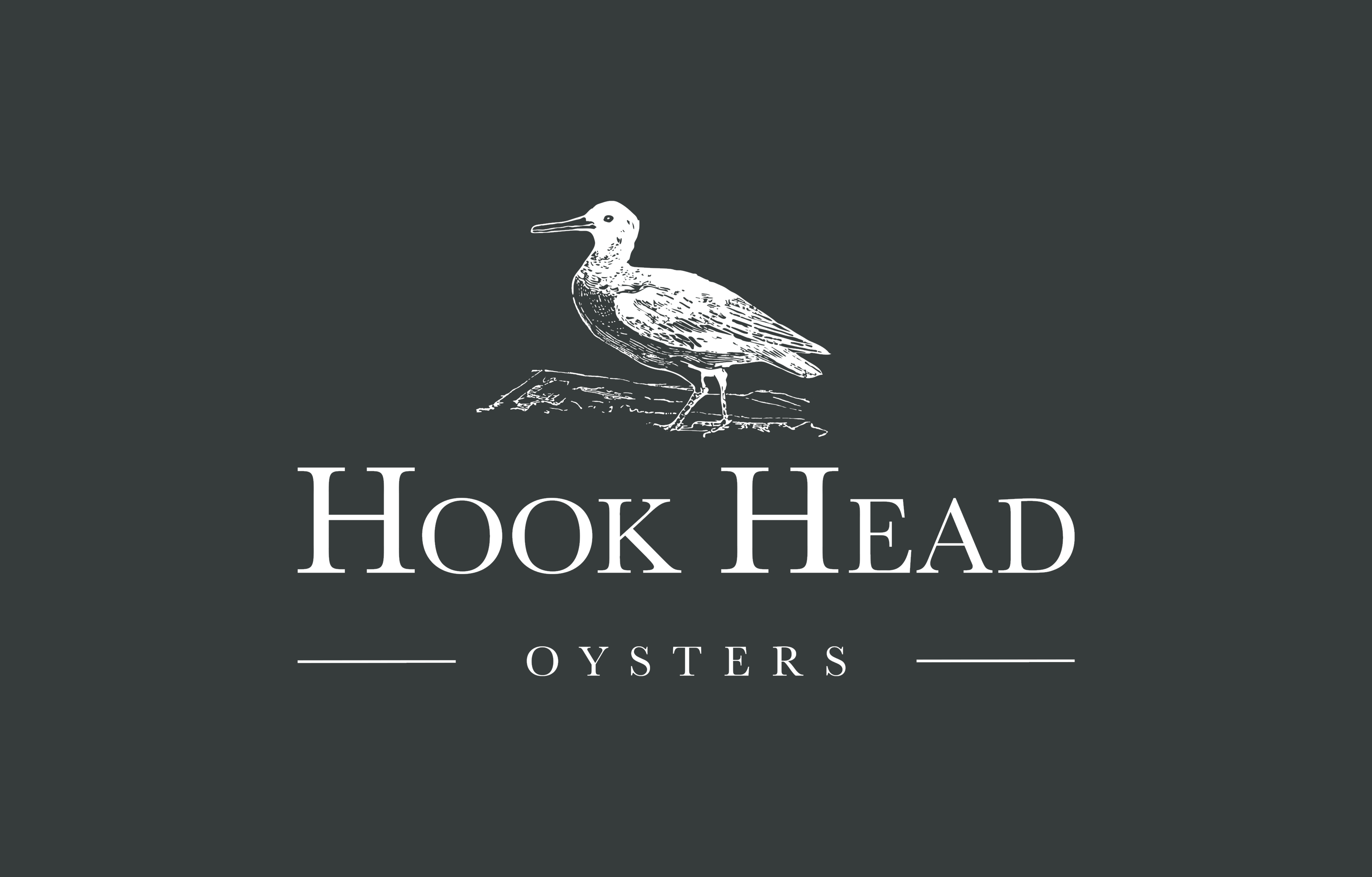 Logo Hookhead Oysters