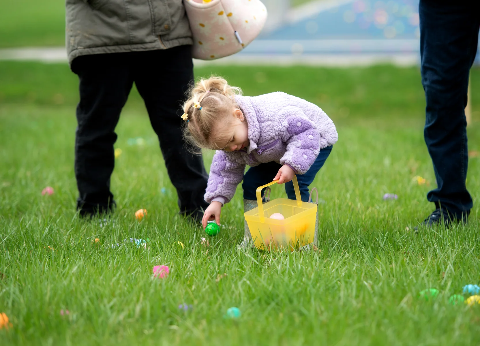 Toddler girl in a purple jacket collecting colorful Easter eggs in a yellow basket on grass during an egg hunt.