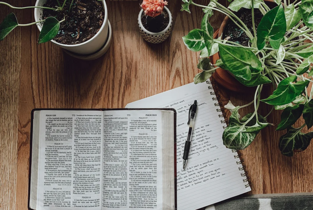 Open Bible and handwritten journal with pen on wooden table surrounded by potted green plants.