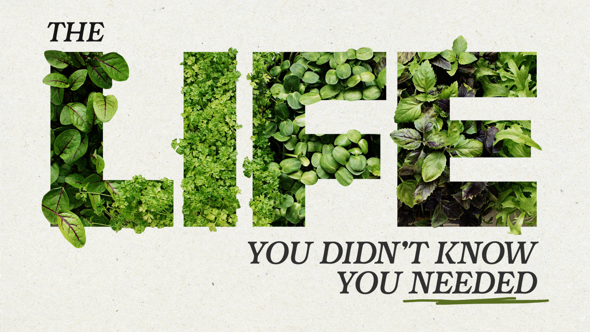 The Life you didn't know you needed