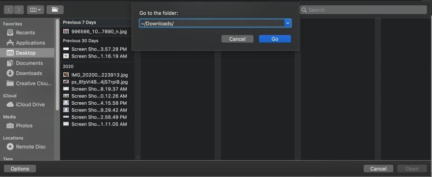 macOS Finder Go to Folder dialog navigating to the Downloads directory with file listing in background