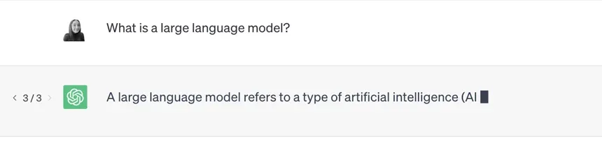 ChatGPT conversation answering the question about what a large language model is