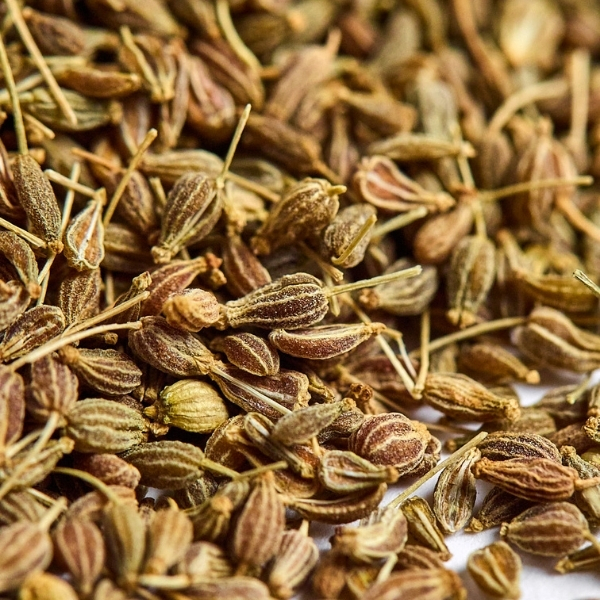 Graines et herbes séchées aux teintes naturelles