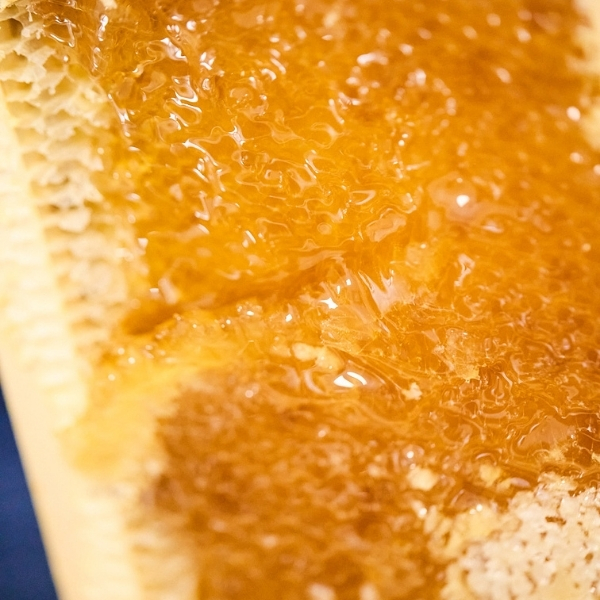 Surface de miel doré aux reflets ambrés