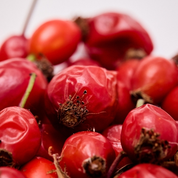 Baies rouges mûres en gros plan sur fond naturel