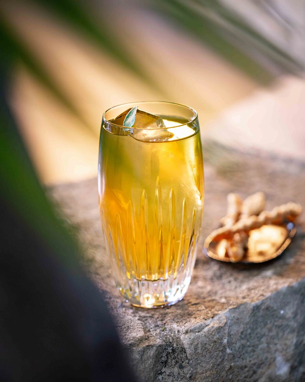 Cocktail signature aux herbes aromatiques et notes végétales servi au Bar Pic à Valence.