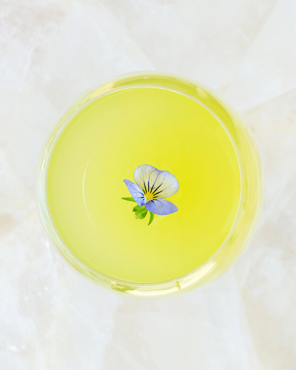 Infusion botanique délicate ornée d'une fleur, l'art des associations de saveurs à Dubai.