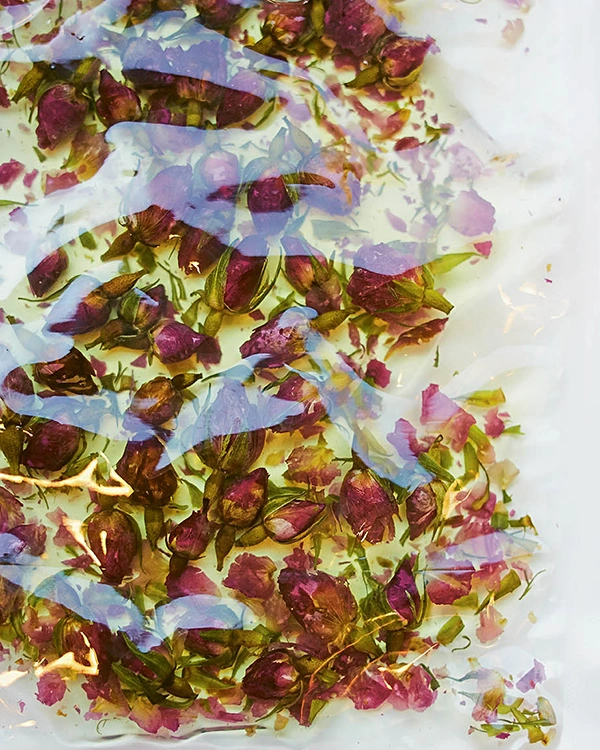 Composition végétale colorée dressée au Restaurant Pic – Menu Imprégnation