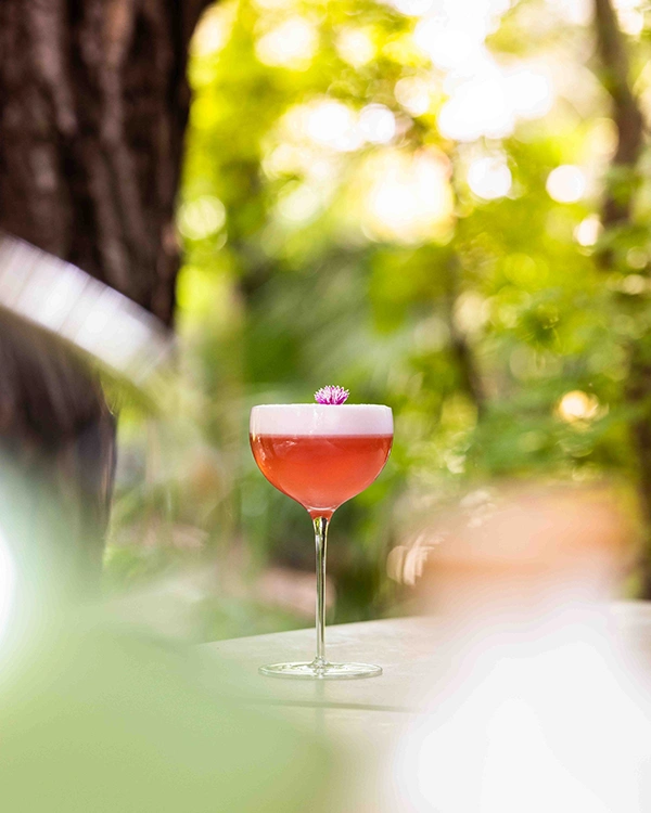 Cocktail signature servi au Bar Pic à Valence