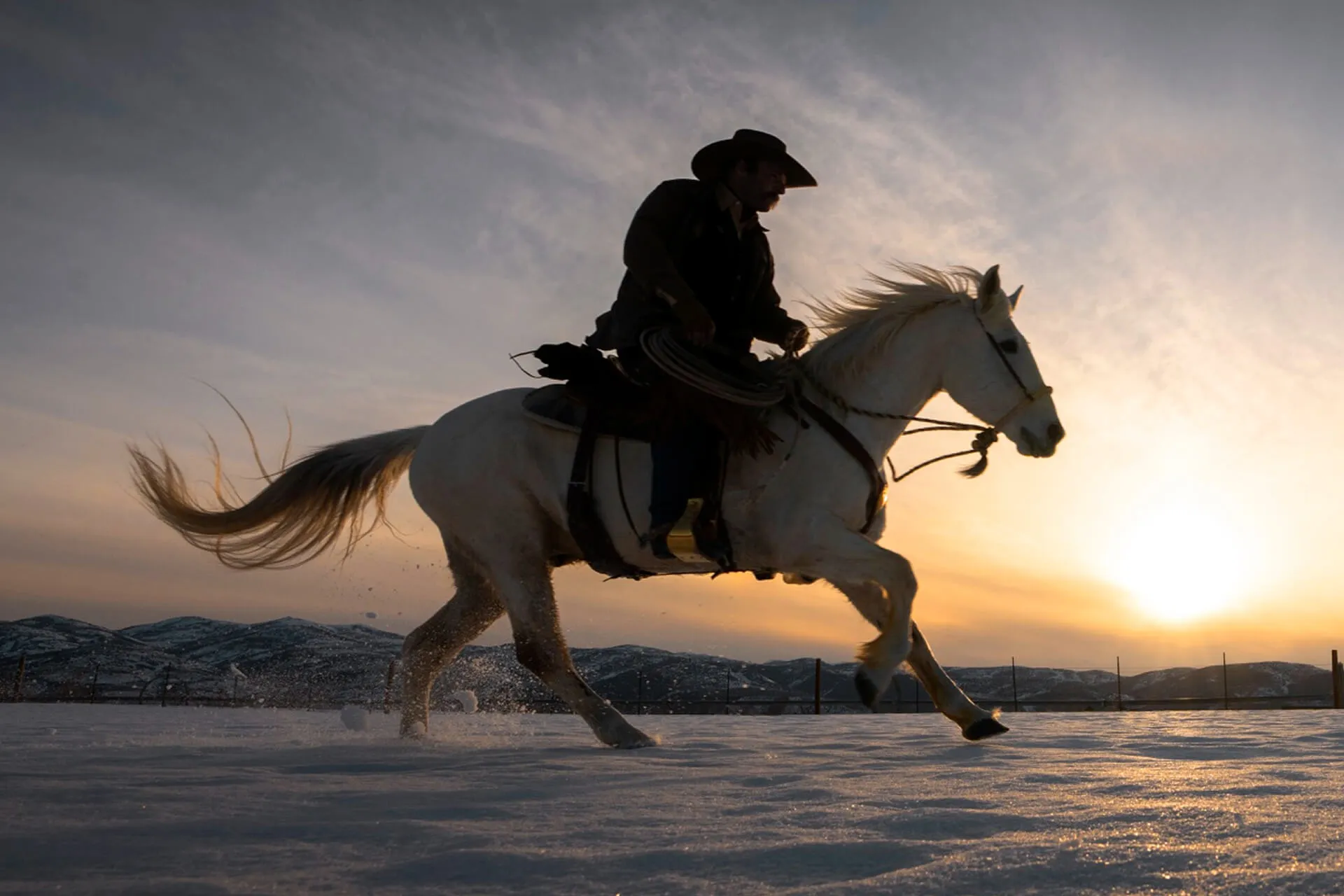 Horse Running
