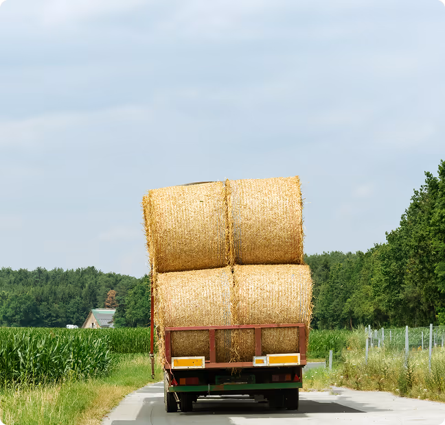 Truck carrying stacked round hay bales driving down a rural road with green fields and trees on both sides.