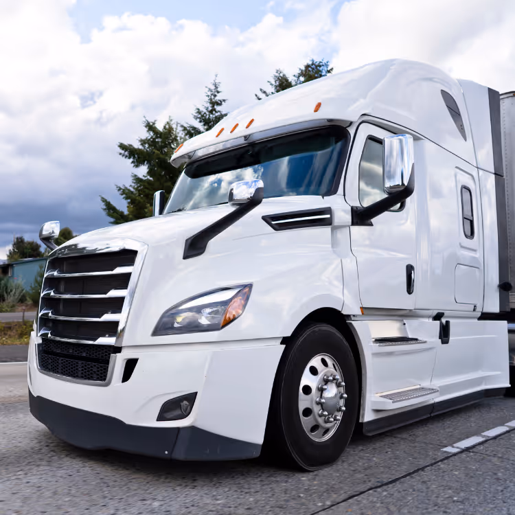Person holding a small globe with green continents covered in moss, pointing at it with a pen, surrounded by recycling and renewable energy documents on a desk.