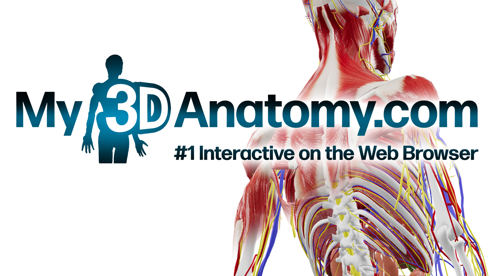 Black Horse Animation & Design