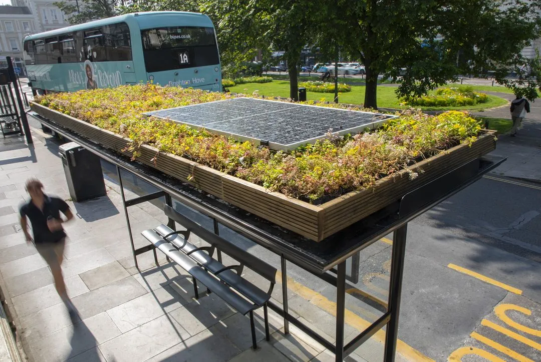 A bus shelter in Brighton with a living roof and a solar panel