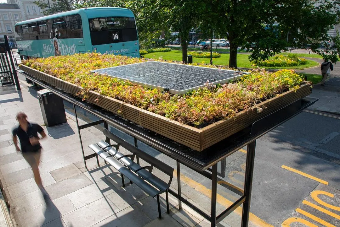 A bus shelter in Brighton with a living roof and a solar panel
