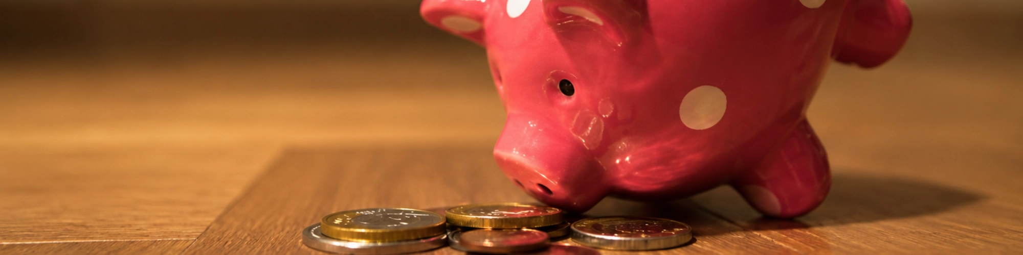 Spaarvarken met geld