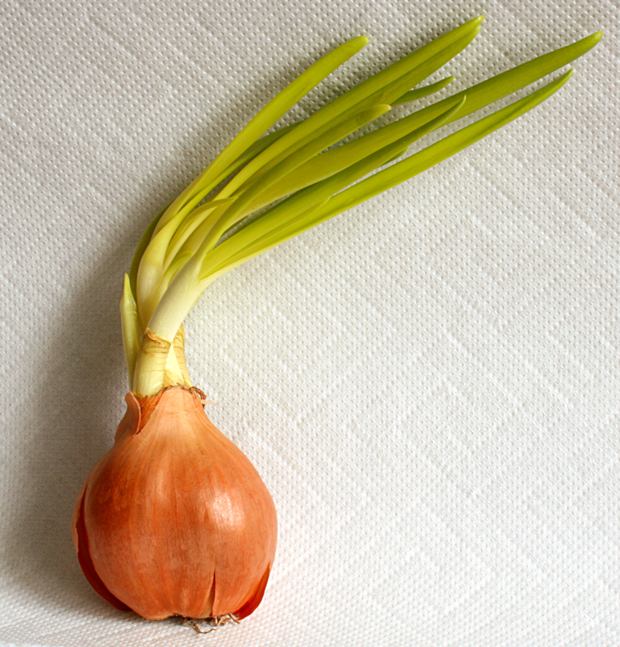 image of local produce