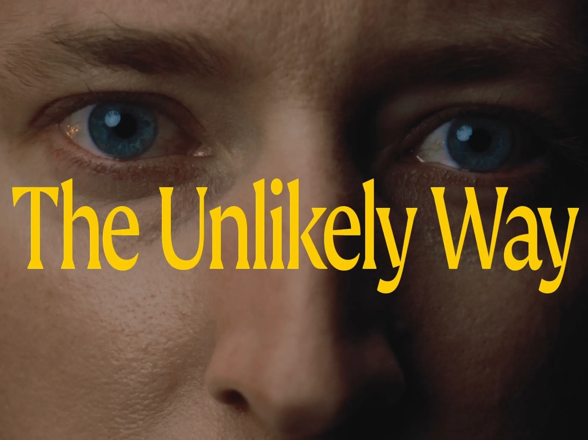 studio underdog wes anderson style title