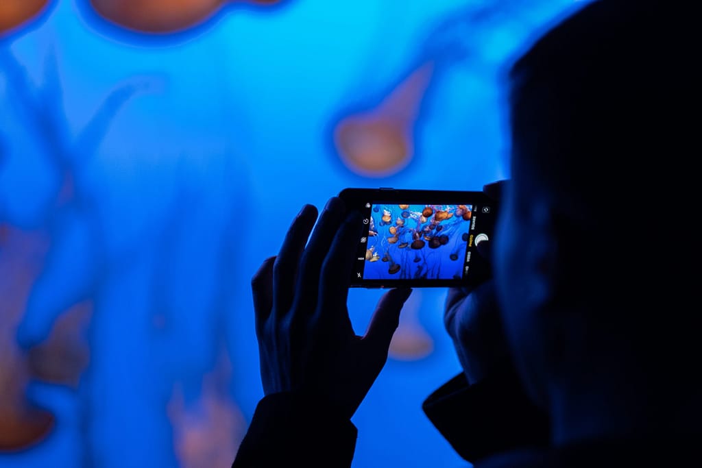 person videoing on phone