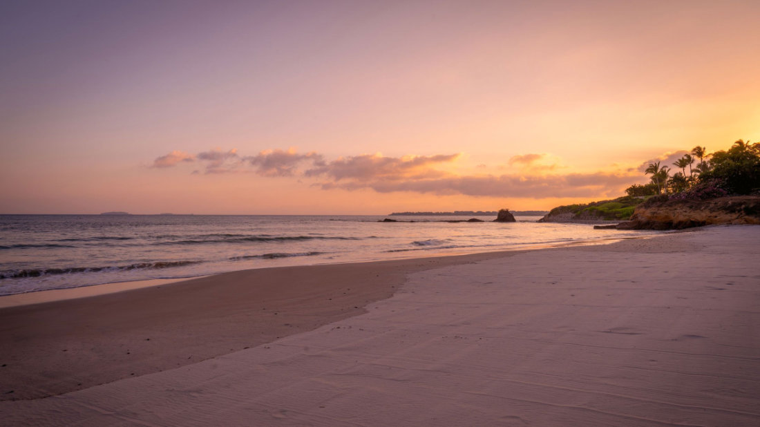 Discover Punta Mita's Best