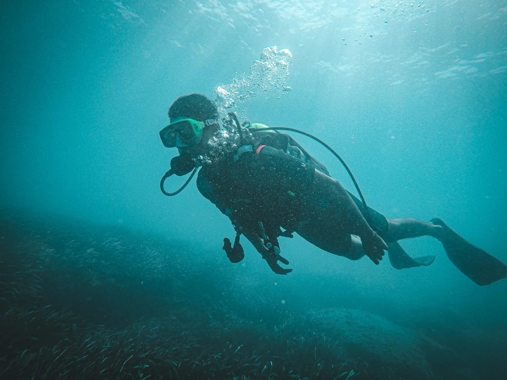 man in black and white diving suit under water