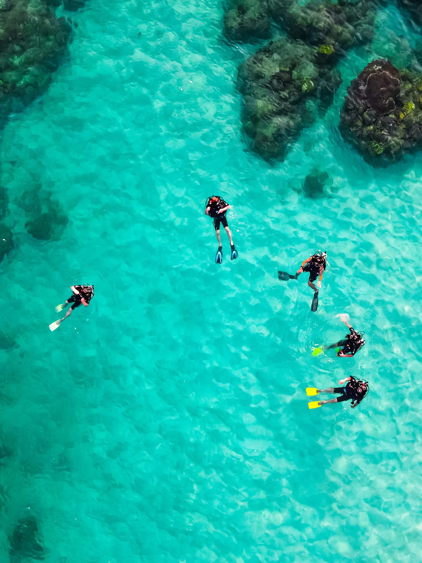 Scuba divers