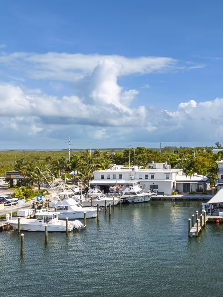 Three Waters Marina with several white boats docked next to a white building surrounded by palm trees under a blue sky with scattered clouds.