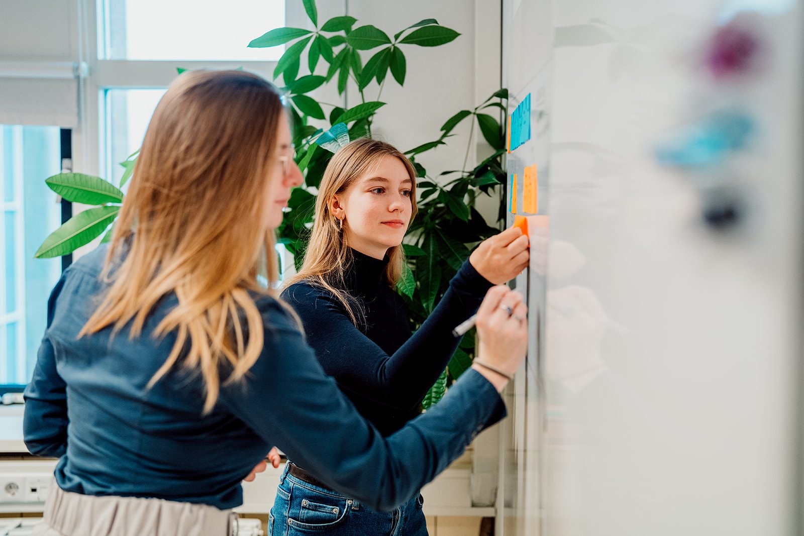 Processen visualiseren Flawless