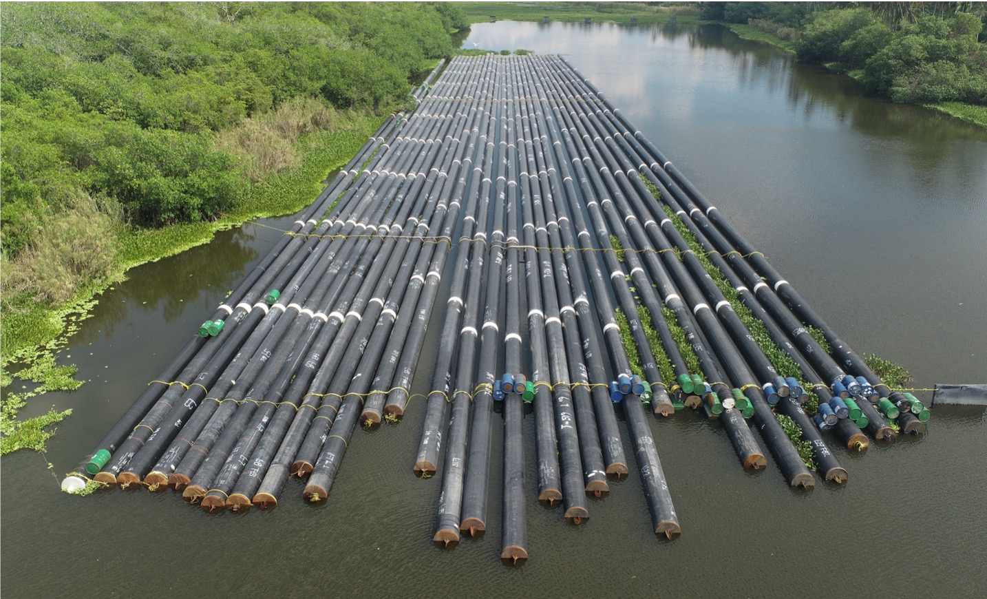 Large clusters of black pipes floating on a river surrounded by green vegetation.