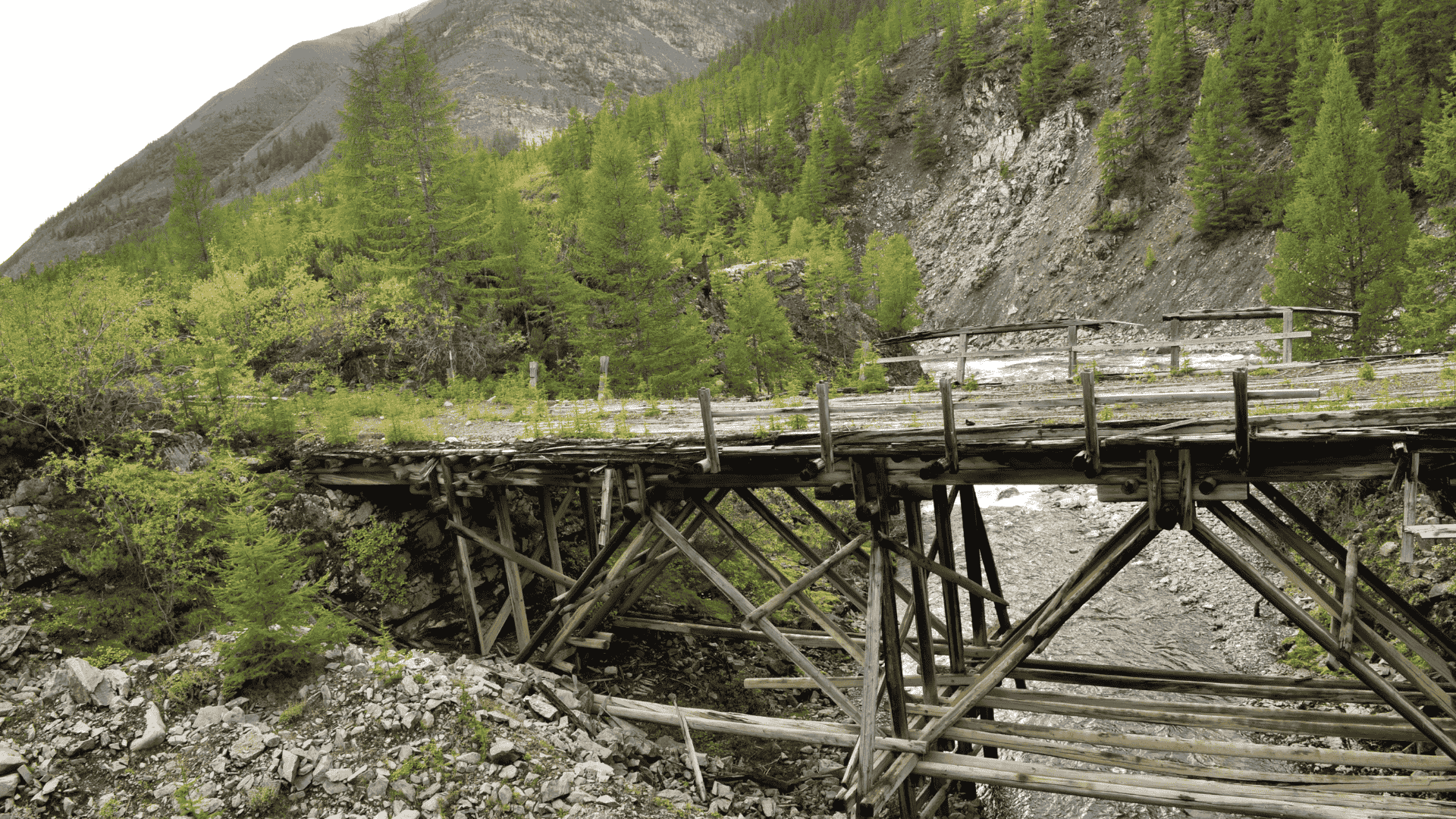 Wooden bridge crossing small stream in forest trail