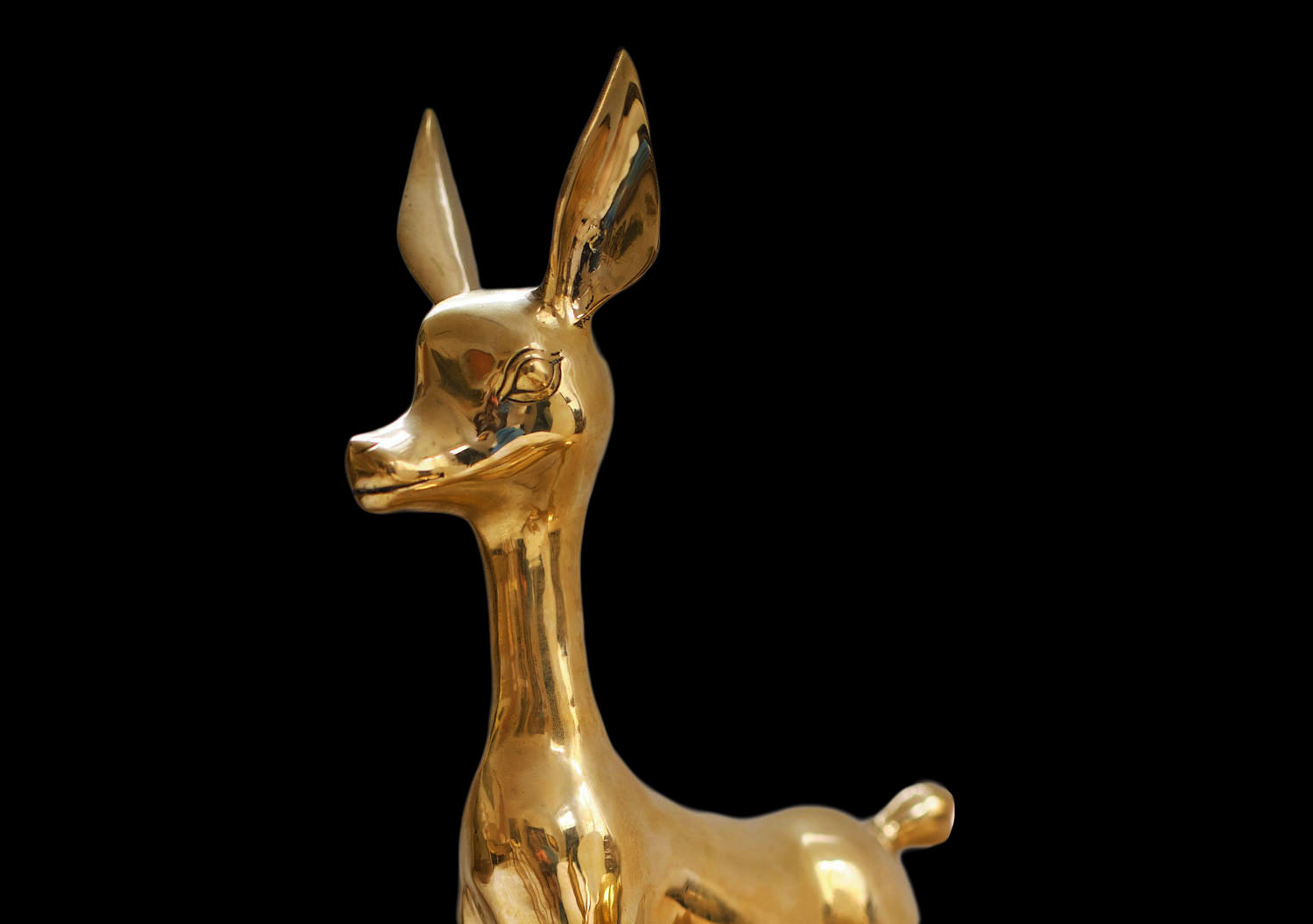 Kom jij bij ons werken?