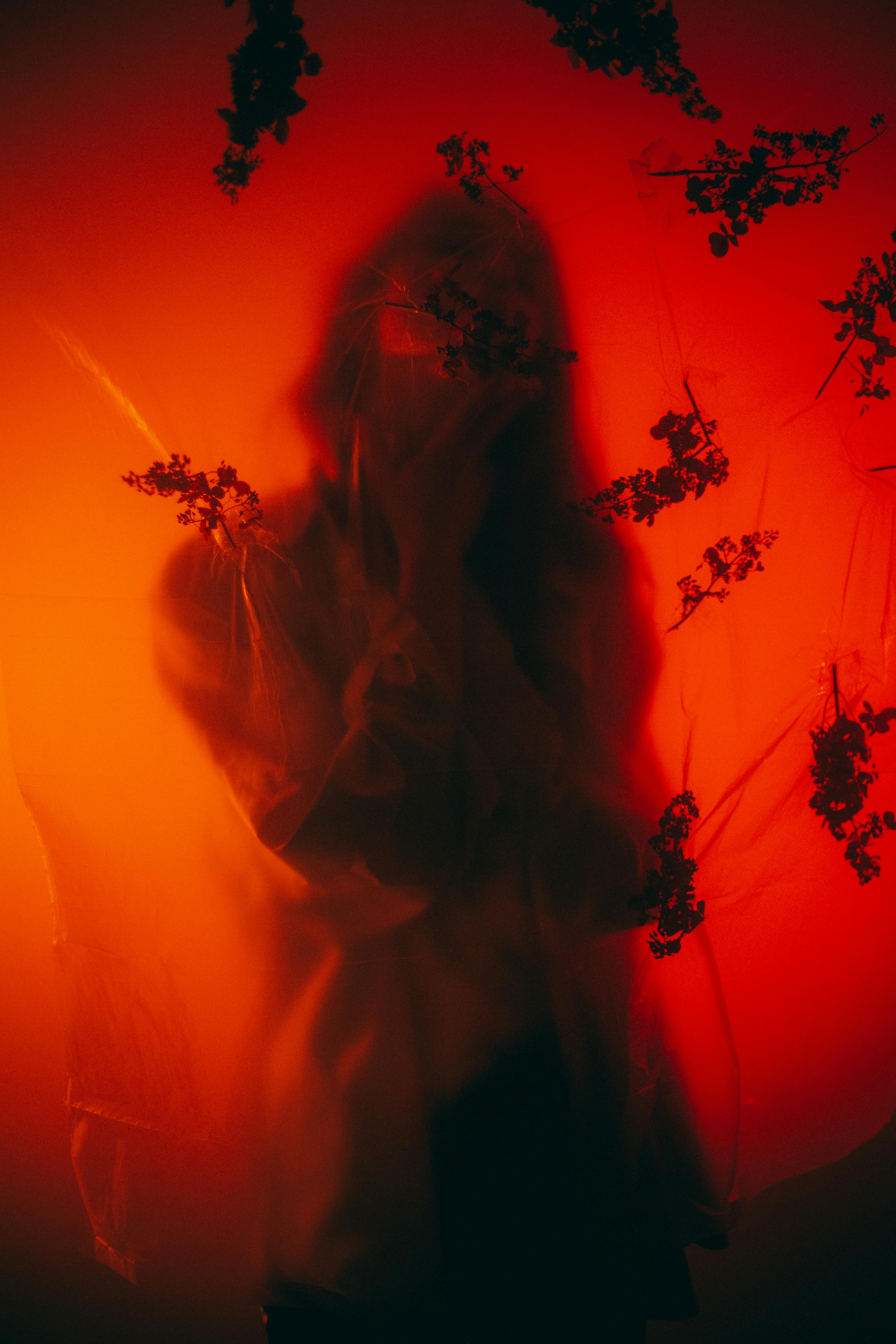 Silhouetted figure behind a translucent red surface with dark floral branches.