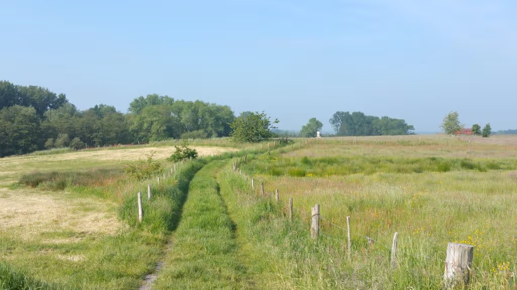 Op weg naar het Kordaalbos