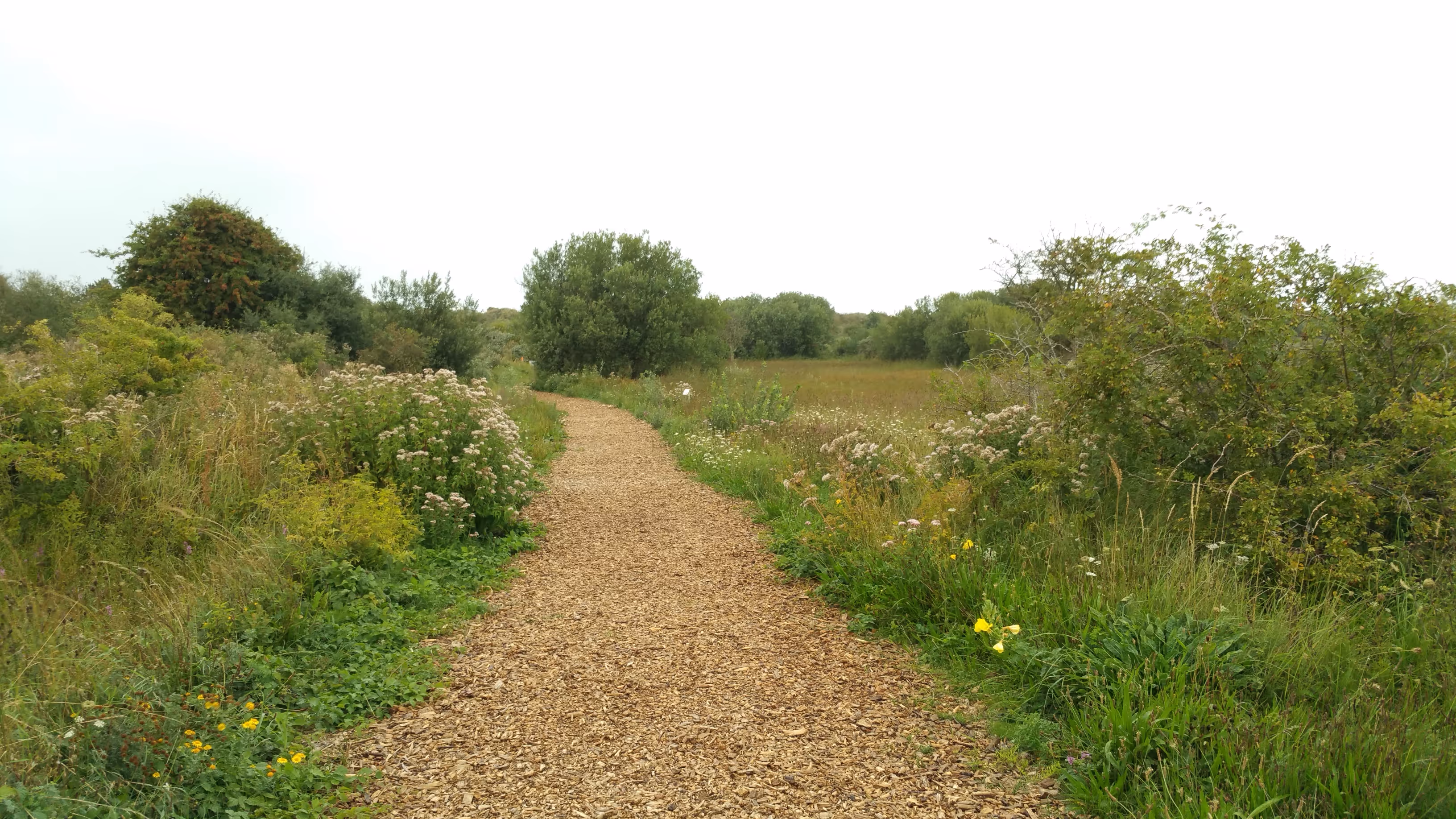 Westhoekreservaat, De Panne