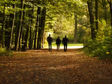 Palingbeek, De Vierlingen, Caterpillar en Hill 60- Ieper