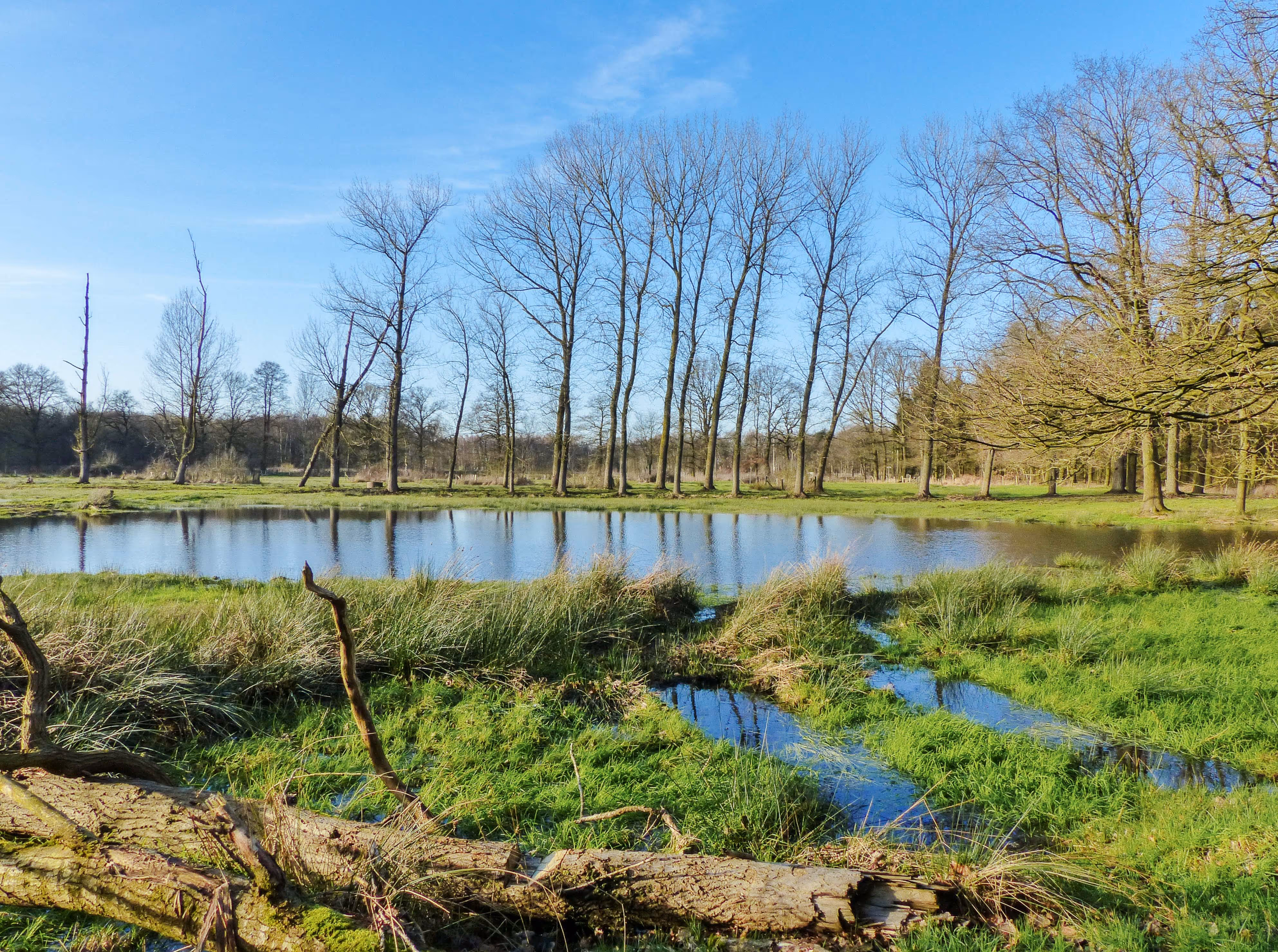 Sint-Maartensheide - De Luysen : Genieten in het grenspark Kempen-Broek