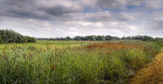 Bourgoyen-Ossemeersen Nature Reserve Panorama - Aangeboden door Tripadvisor